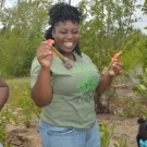 Holland High School Biology teacher Cherrida Walters gets her hands dirty and helps her students plant their mangroves.