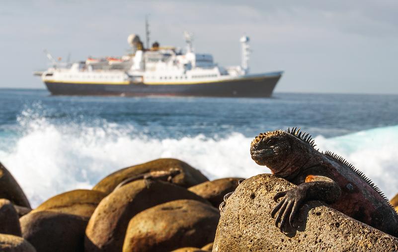 Managers of Marine World Heritage sites from around the world met in the Galápagos aboard the Lindblad Expeditions National Geographic Endeavour. (© Daniel Correia/UNESCO)