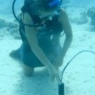 A member of the science team taking readings.
