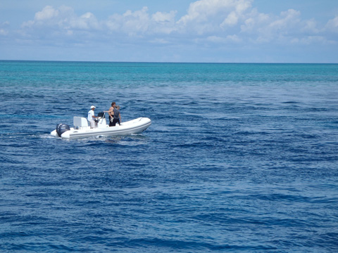 Dr. Andrew Bruckner and Amanda Williams scouting research dive sites. Dr. Andrew Bruckner and Amanda Williams assess the current while scouting research dive sites.