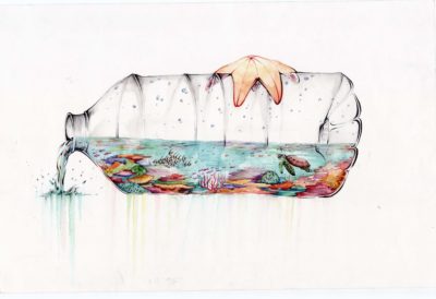 Science without Borders® Challenge winner:"Reef in a Bottle" by Riley Samels