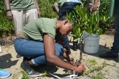 J.A.M.I.N. Year 2 students from William Knibb High School use scientific tools to monitor the mangroves as part of the mangrove education and restoration program.