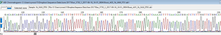 J.A.M.I.N. Mangrove Disease results 2