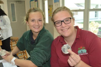 B.A.M. and J.A.M.I.N. – Image 1 - Forest Heights Academy students dissect their mangrove leaves and plate them in agar. 