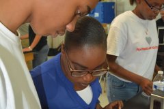 FRIENDS of the Environment Outreach Officer, Cassandra Abraham helps Forest Heights Academy student to cut a small section of his potentially diseased mangrove leaf that includes diseased and non-diseased sections of the leaf.